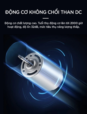 Động cơ không chổi than DC