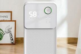 Máy hút ẩm có loại bỏ được nấm mốc trong nhà bạn không?